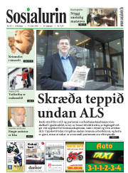 Síða 1