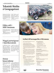 Síða 3