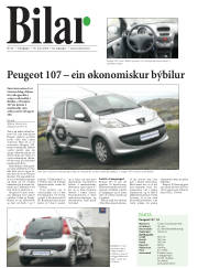Síða 20