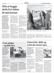 Síða 8
