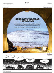 Síða 21