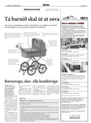 Síða 5