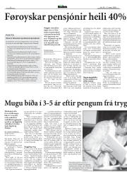 Síða 8
