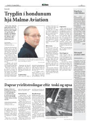 Síða 15