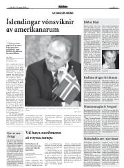 Síða 17