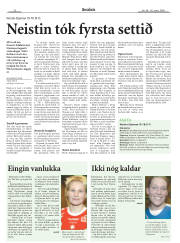 Síða 22