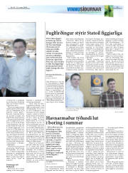 Síða 17