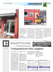 Síða 19
