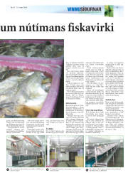Síða 21