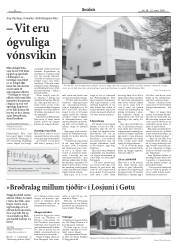 Síða 8