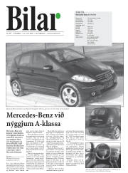 Síða 15