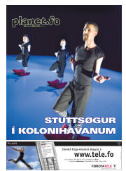 Síða 17