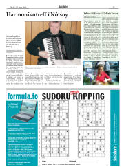 Síða 29