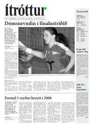 Síða 17