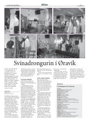 Síða 33
