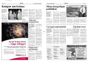 Síða 3