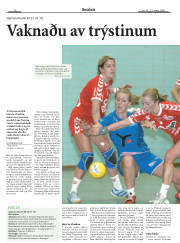 Síða 20