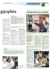 Síða 19