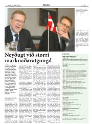 Síða 13
