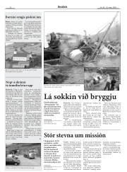 Síða 22