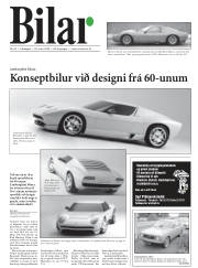 Síða 19