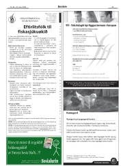 Síða 25