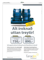 Síða 3