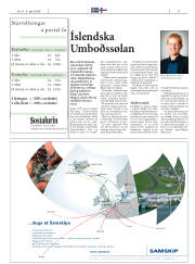 Síða 11