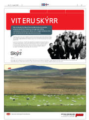 Síða 27