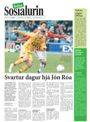 Síða 17