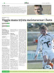 Síða 20