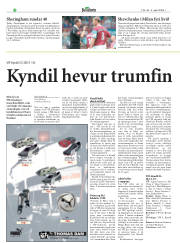 Síða 22