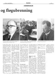 Síða 31