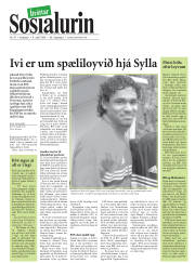 Síða 17