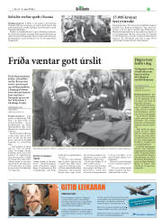 Síða 19