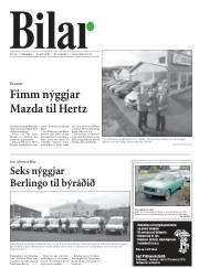 Síða 25
