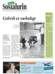 Síða 26