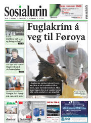 Síða 1