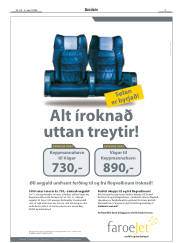 Síða 3