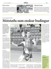 Síða 23