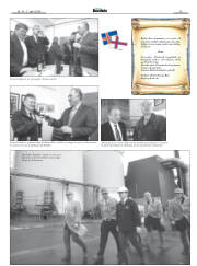 Síða 15