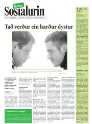 Síða 17