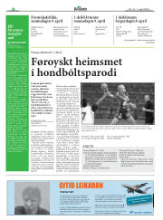 Síða 20