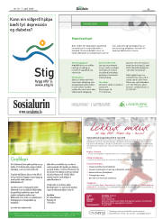 Síða 55