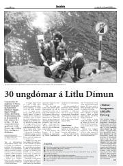 Síða 14