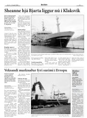 Síða 15