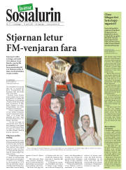 Síða 17