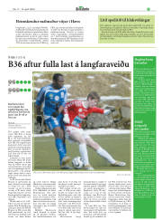 Síða 19