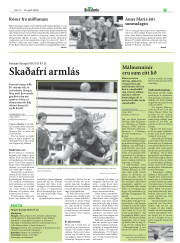 Síða 29