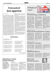 Síða 11